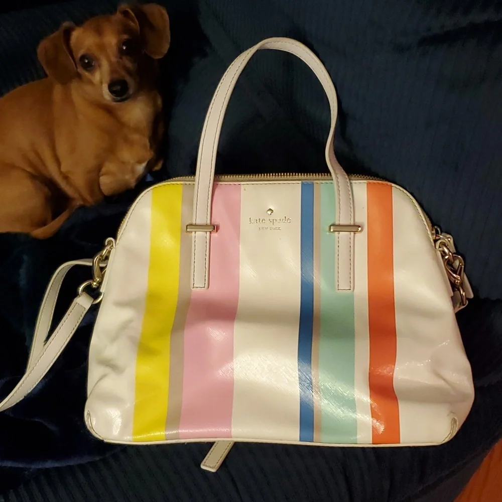 Kate Spade pocket book, white with colored stripes! - Picture 1 of 8